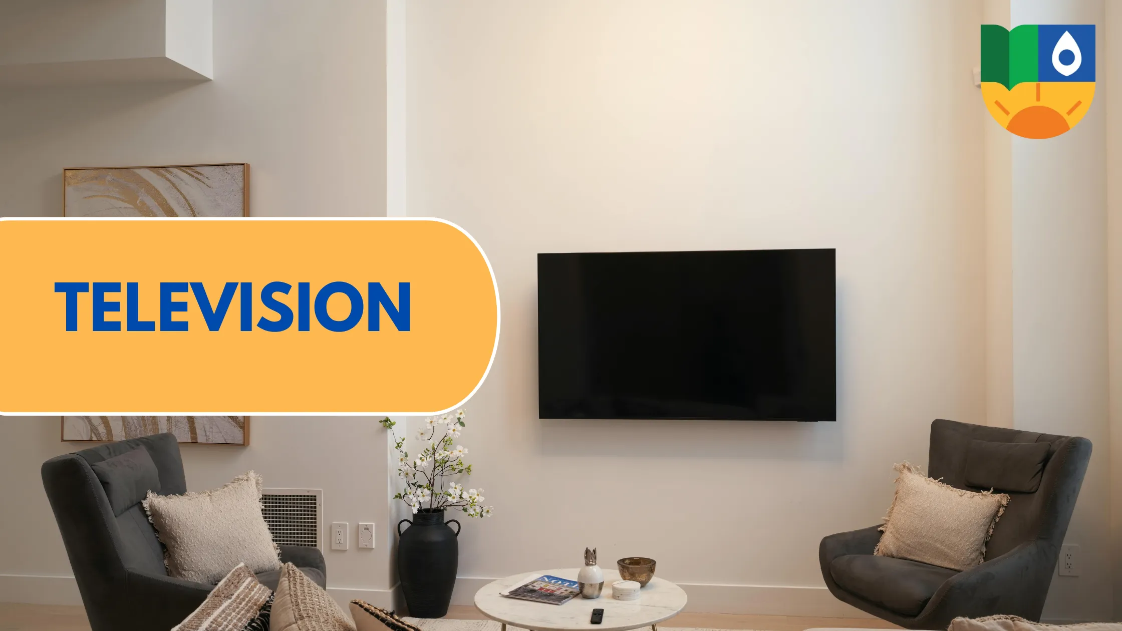 Television