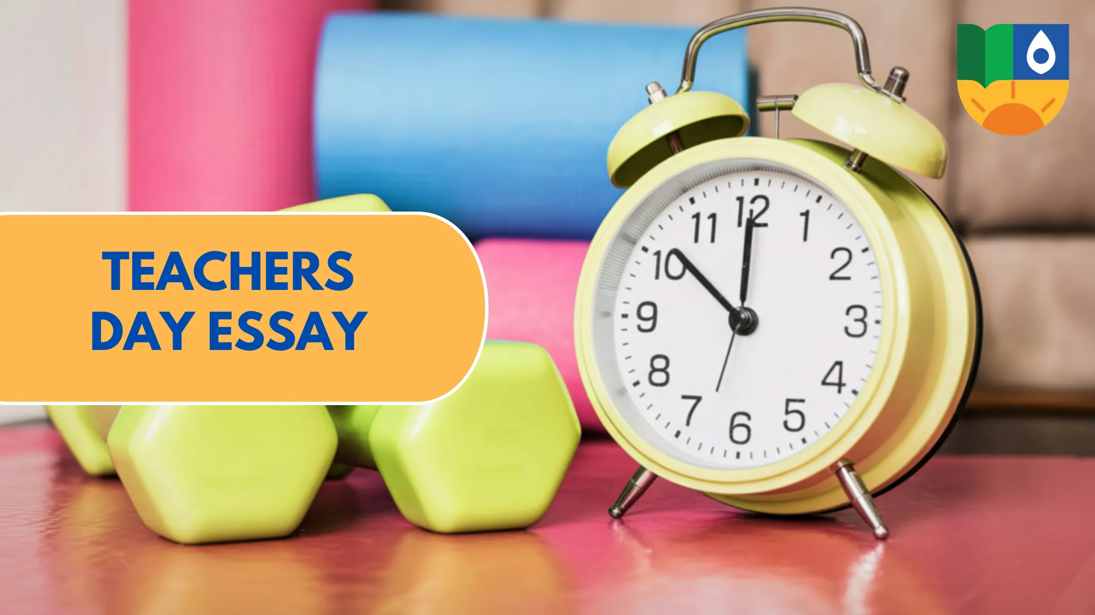 Daily Routine essay