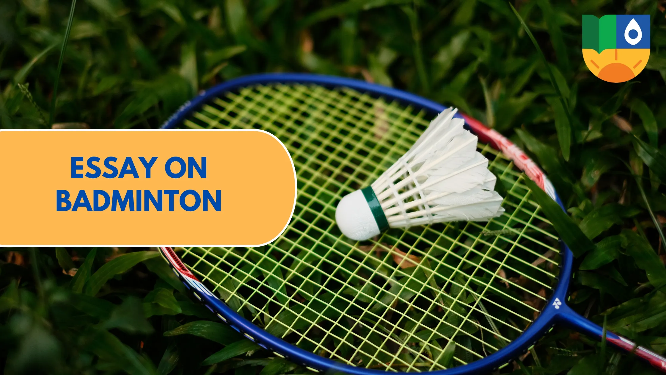 Essay on Badminton