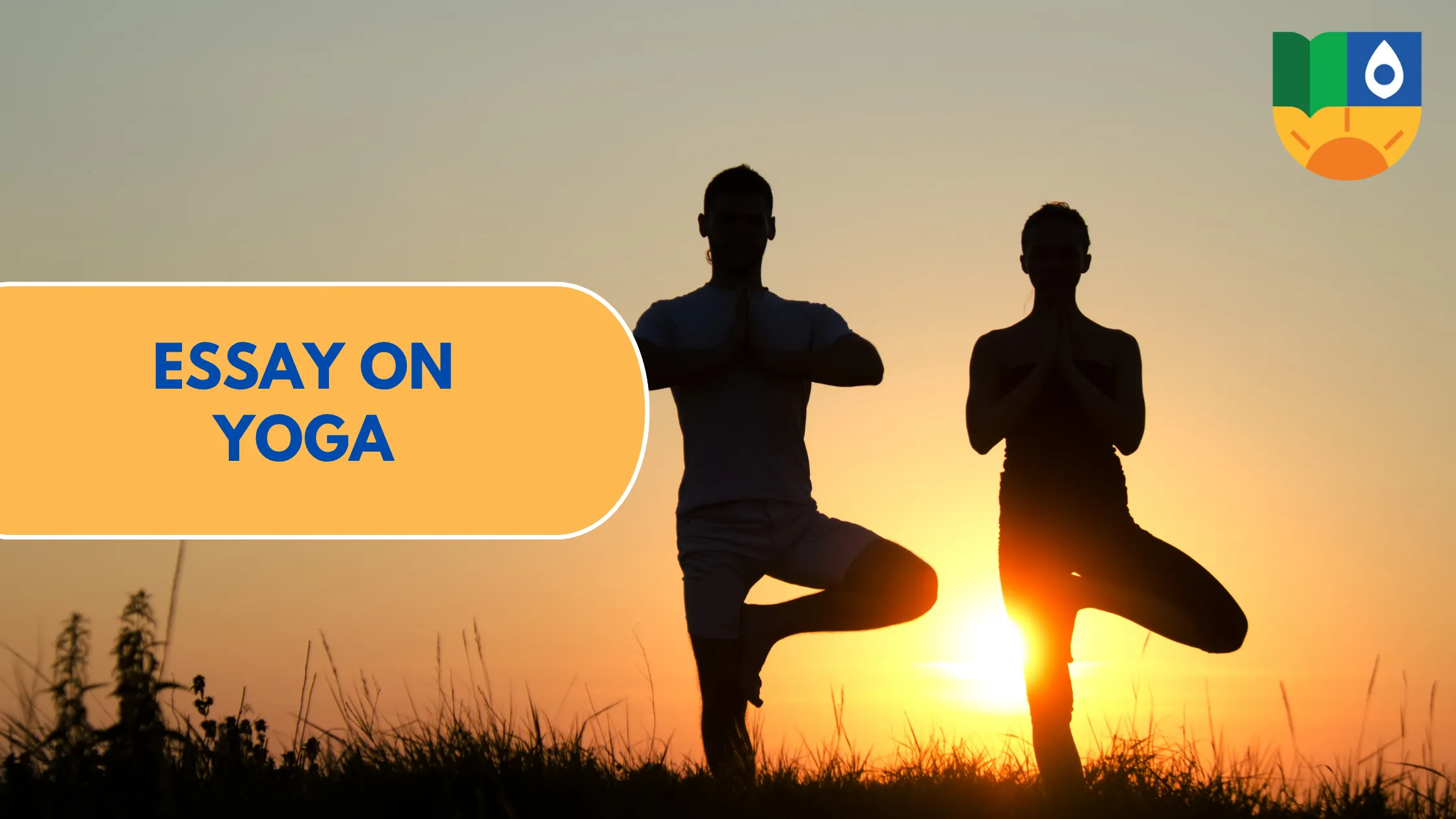Essay on Yoga