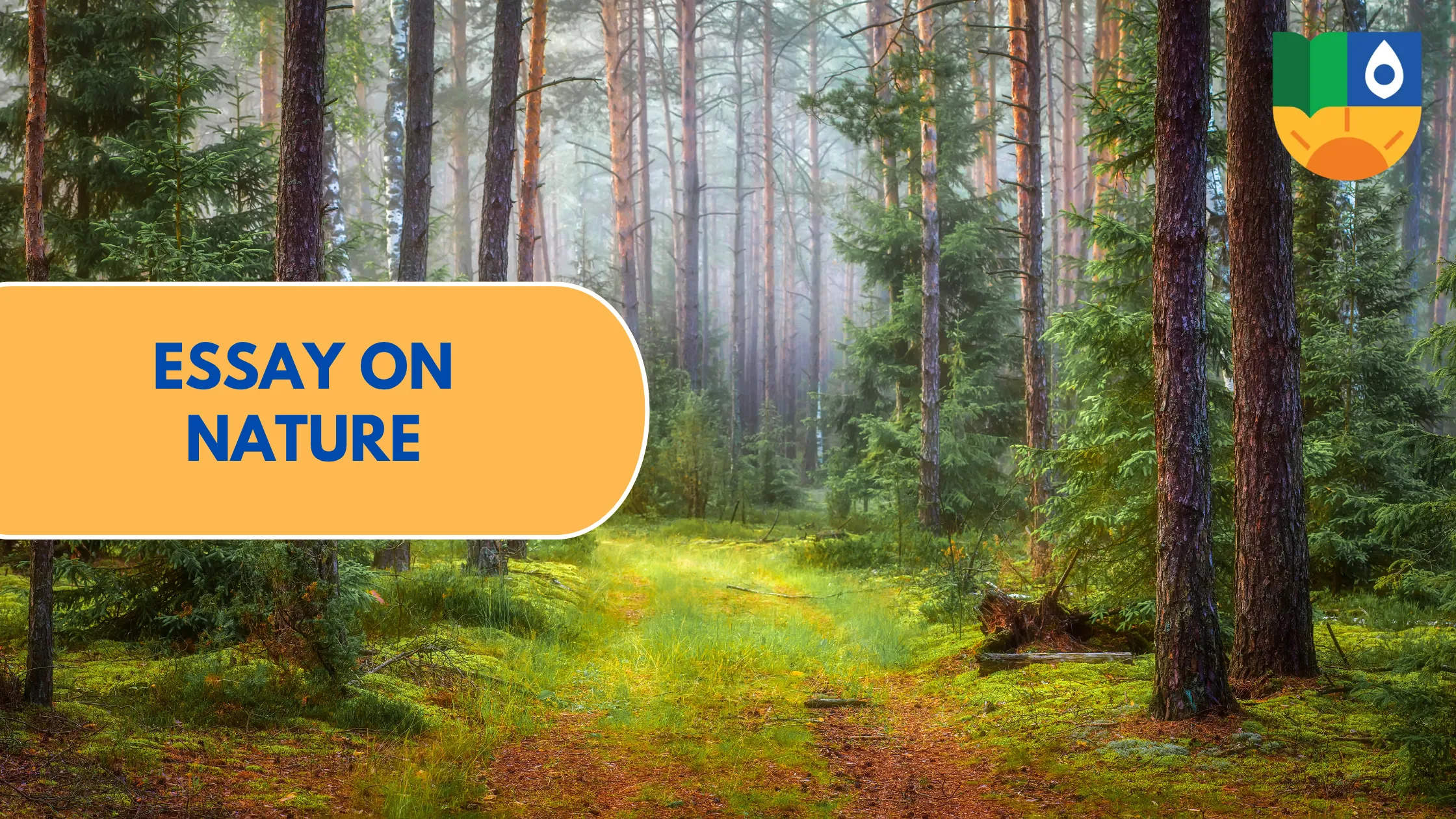 Essay on Nature