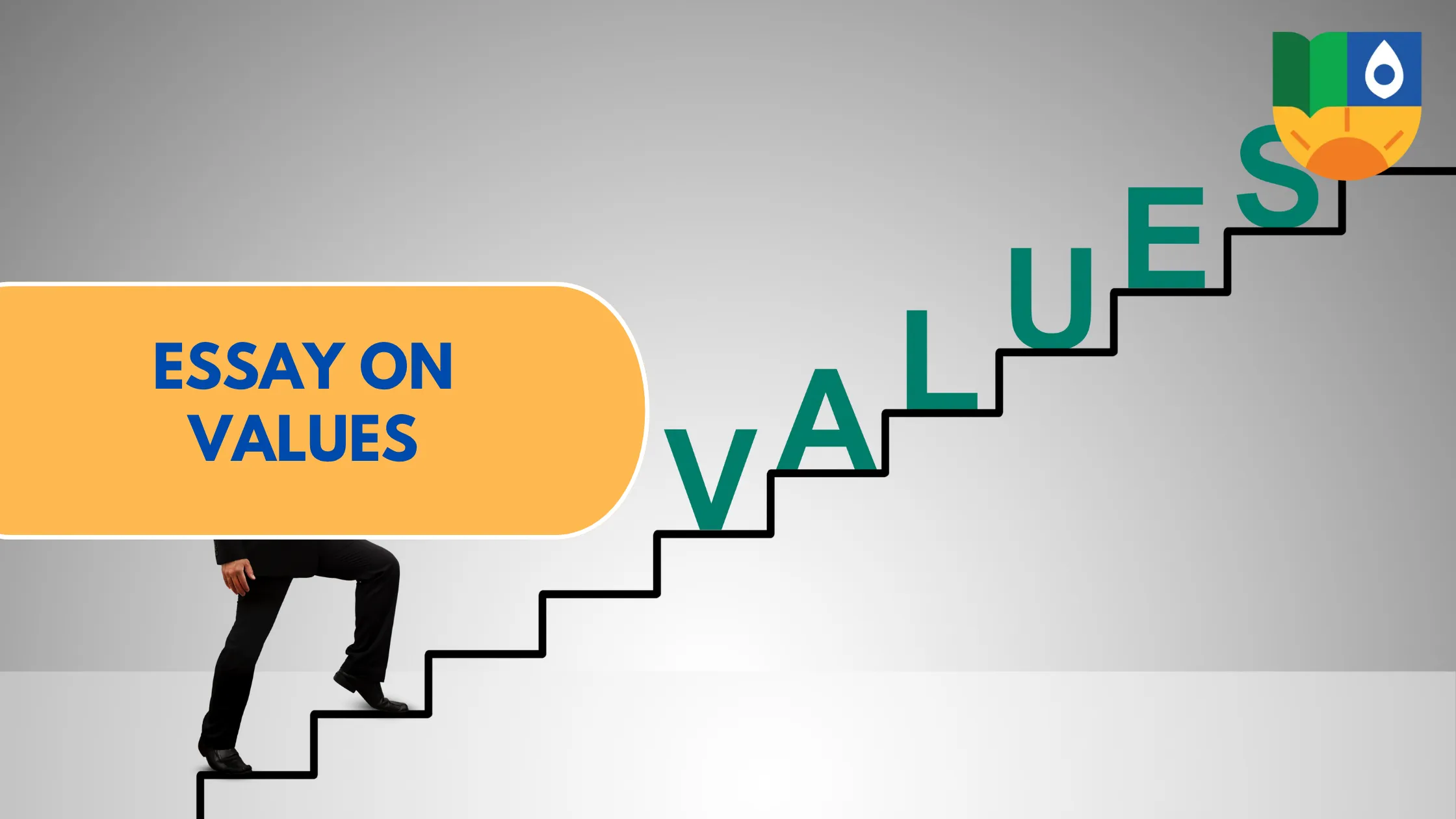 Essay on values